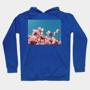 magnolia tree Hoodie